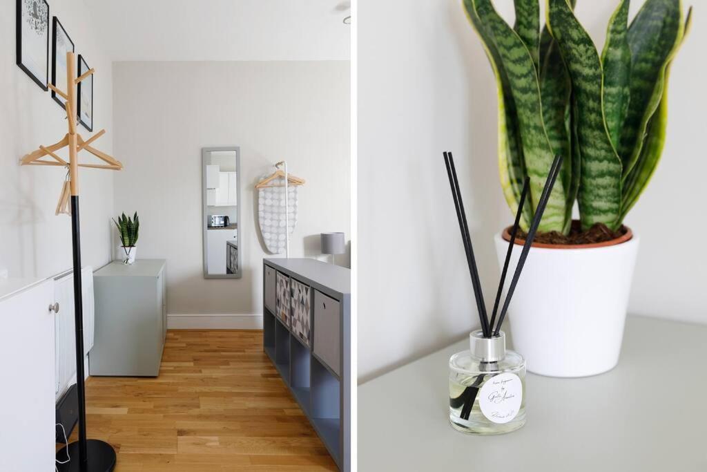 Cosy Studio Flat Moments From The Beach, Kemptown Brighton Ngoại thất bức ảnh